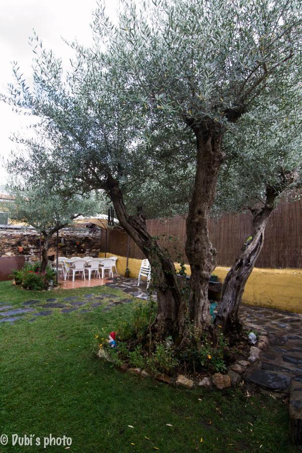 בית הארחה Tamajon 	La Casita De Leire מראה חיצוני תמונה