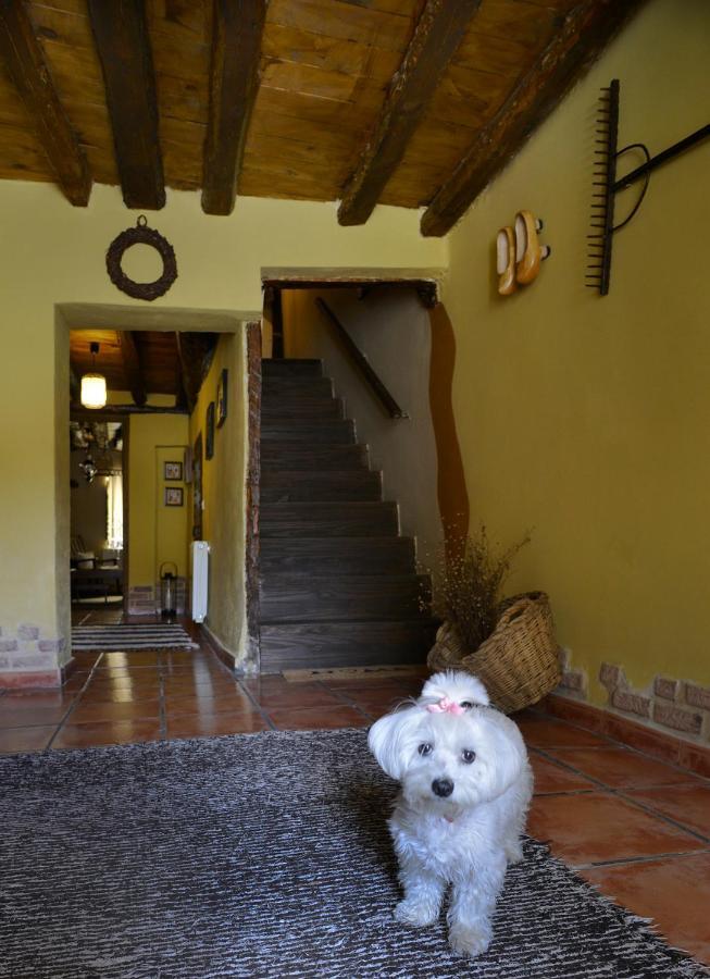 בית הארחה Tamajon 	La Casita De Leire מראה חיצוני תמונה