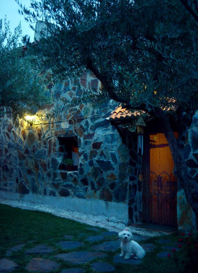 בית הארחה Tamajon 	La Casita De Leire מראה חיצוני תמונה