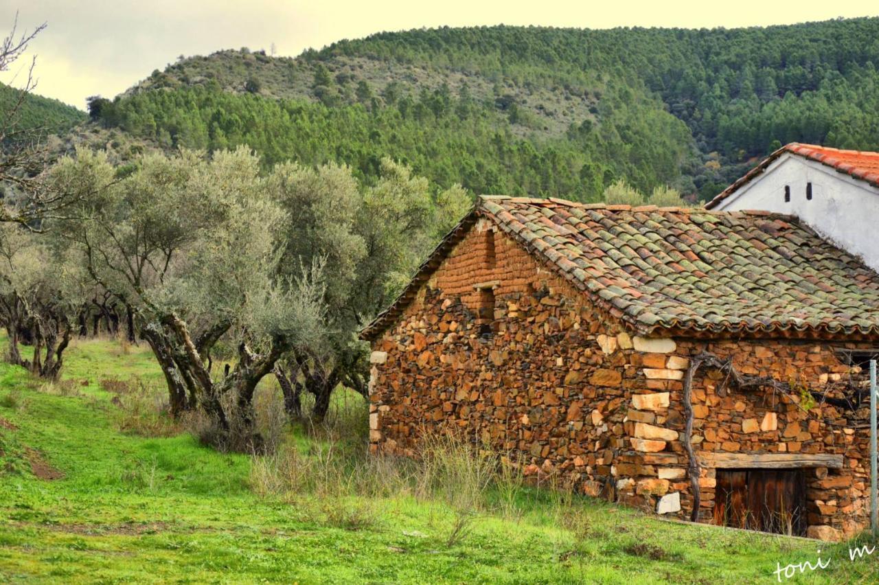 בית הארחה Tamajon 	La Casita De Leire מראה חיצוני תמונה